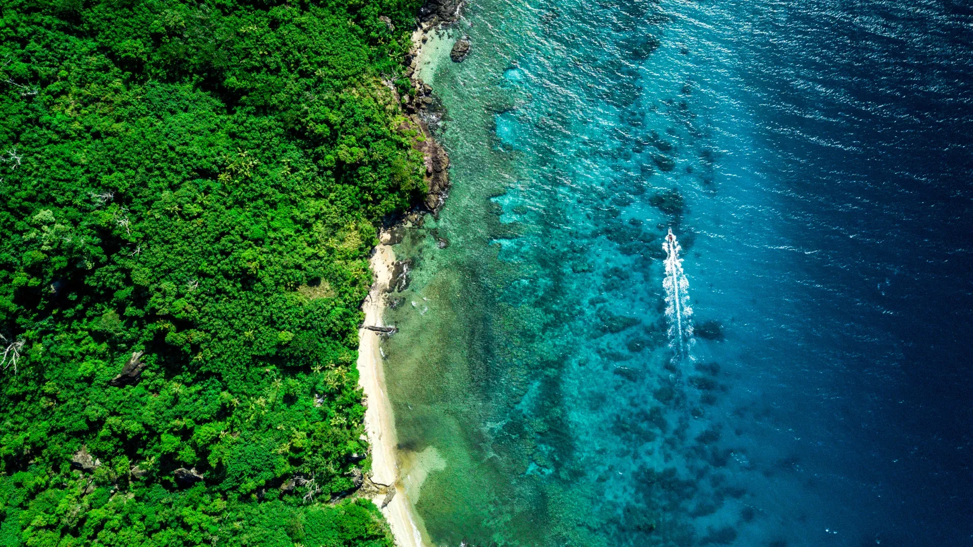Farasan Islands | Saudi Arabia ABC